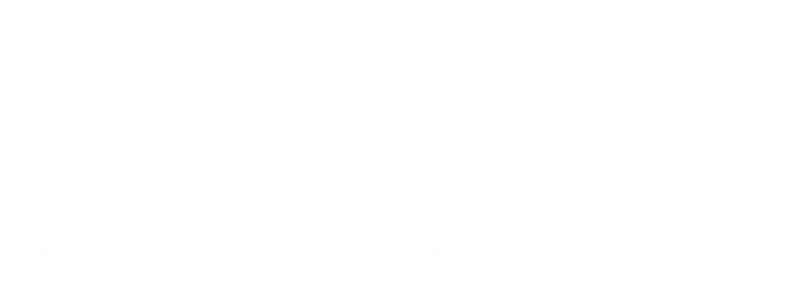 Sales & Fit Logo